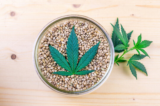 Cannabis seeds in bowl and Hemp leaf oil on wooden table