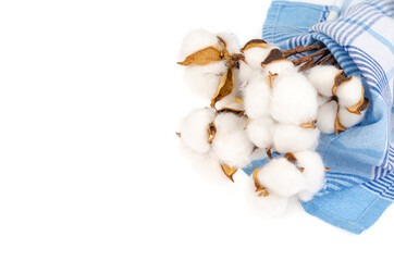 Obraz na płótnie Canvas Dried cotton flowers on cotton cloth background. Photo