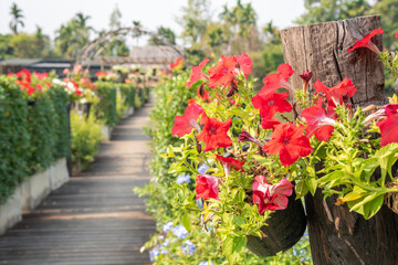 Fototapeta na wymiar The wooden bridge park full of flowers