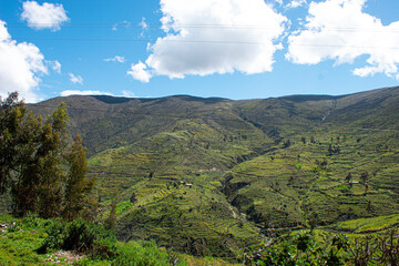Fototapeta na wymiar Andes peruanos, Huancavelica Perú. Montañas verdes.
