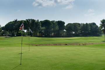 Green golf course in Pine Trees