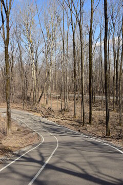 Walking path in the park. Early spring.