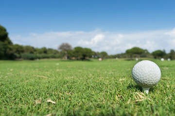 Golf ball on green natural grass