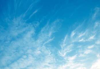 The sky is large, bright, beautiful and has white clouds.