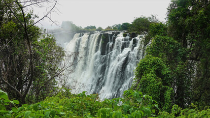 Powerful streams of water break down from the rocky edge of the gorge. Water fog over the abyss. In the foreground is lush tropical vegetation. Victoria Falls. Zambia