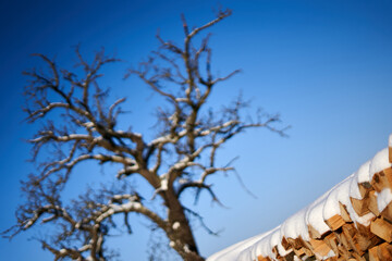 Oblique perspective, Stacked firewood covered with white snow, bare tree in the background with blue sky. Winter in germany.