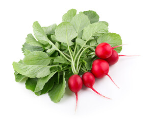 Radish