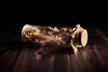 Dark background, dried plants in glass bottles. Handmade interior accessories