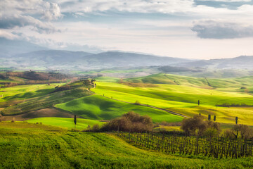 Fototapeta premium Tuscan landscape at sunset, Siena, Tuscany, Italy