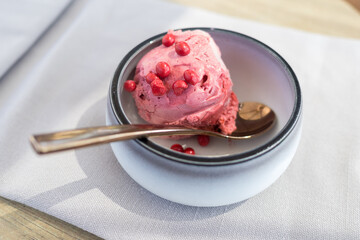 Scoop of Strawberry ice cream or gelato in bowl with pink chocolate chips and spoon. Dessert.