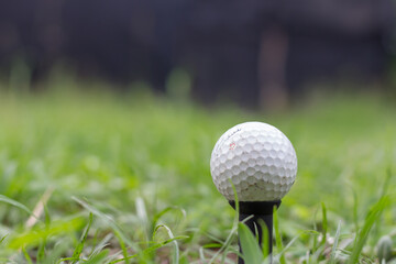 Golf ball on green blurred grass