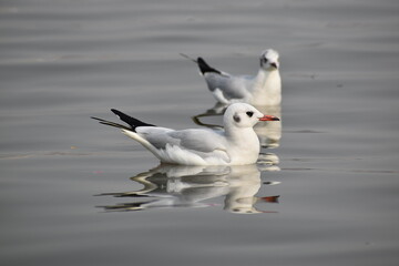 Mixed Landscape Photography