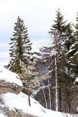 rocks in snow forest, sunny day in forest, ural mountains, winter forest, russian nature, trees in snow