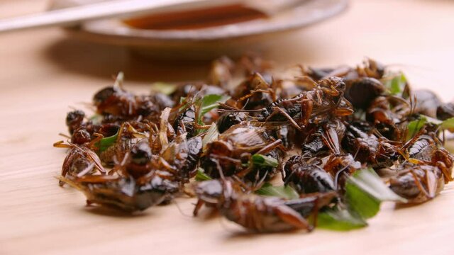 Fried crickets on the plate. Insects are foods that are high in protein.