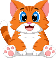 cute kitten sitting pose