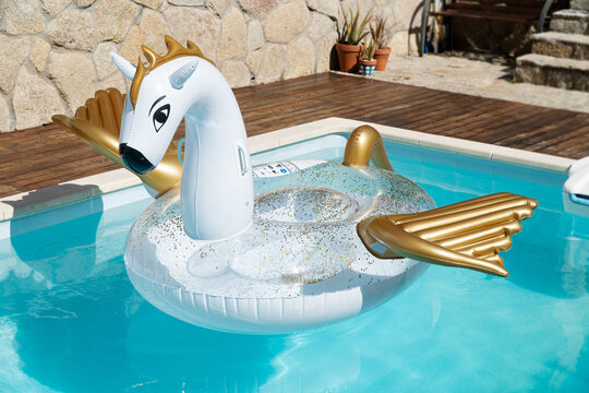 Cute Inflatable Dragon Floating On House Swimming Pool On Sunny Day. No People