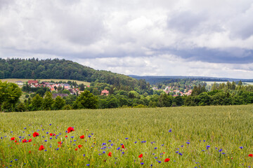 Blick nach Güntersberge im Harz