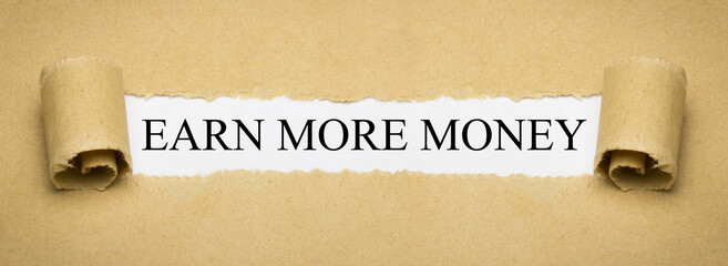 Earn more Money