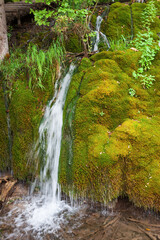 Streams and waterfalls in Plitvice Lakes National Park in Croatia