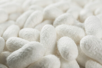 Fototapeta na wymiar Pile of natural silkworm cocoons as background, closeup