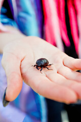 Beetle on hand