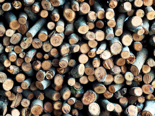 firewood on wall spare for winter and for kitchen work