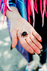 Beetle on hand