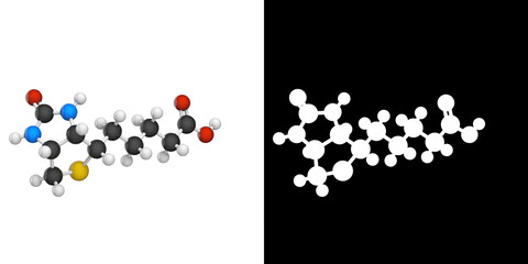 Molecular structure of Vitamin B7(biotin). Also known as Vitamin H. 3D illustration. Chemical structure model: Ball and Stick. RGB + Alpha(Transparent) channel.
