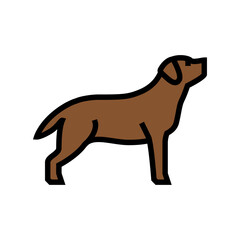 labrador retriever dog color icon vector. labrador retriever dog sign. isolated symbol illustration