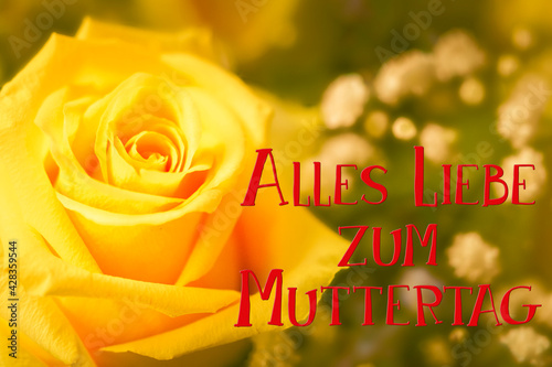 Alles Liebe zum Muttertag - Happy Mother's Day Gratulation mit Rose in Gelb