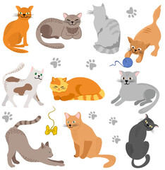 Fototapeta premium Vector Cute cats. Set characters. Cat different breeds pet characters set.