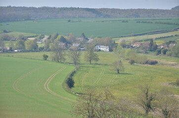 landscape with a field