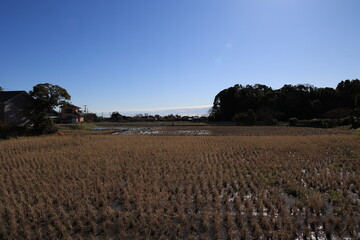 田んぼ