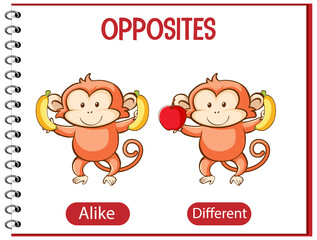 Opposite words with alike and different