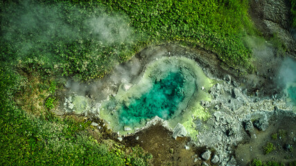 green moss on the stone