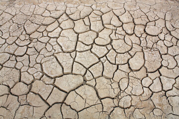 Dried cracked Mud in the desert