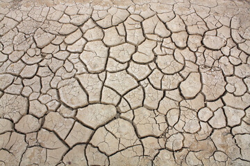 Dried cracked Mud 