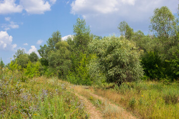 Fototapeta na wymiar Russian countryside. The right bank of the Sok river, Samara region.