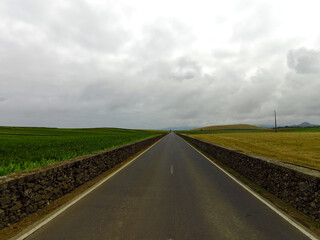 Strada dritta a 2 corsie che tende all'infinito, con muretto a secco come bordo e con prato verde sulla sinistra e prato giallo sulla destra, tipica delle isole azzorre