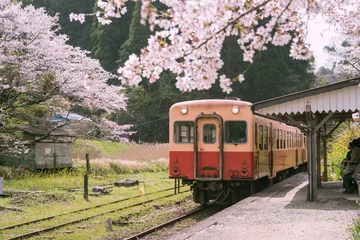 Rolgordijnen Train coming to station platform with cherry blossom trees in Japan　満開の桜と駅のプラットフォーム 小湊鉄道・月崎駅 © wooooooojpn