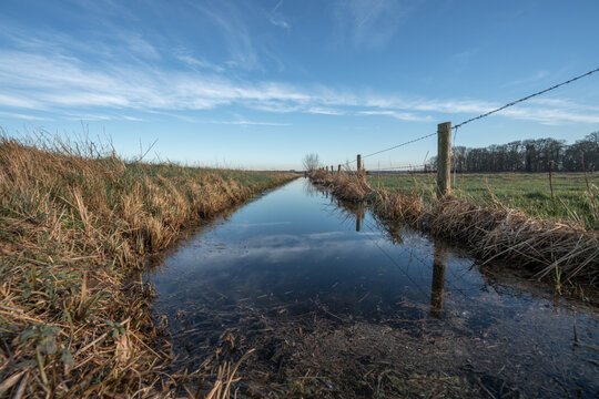 meadow with ditch in a rural landscape