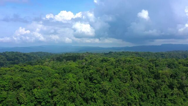 Drone takes off over the trees in the rainforest in Corcovado National Park on the Osa Peninsula in Costa Rica