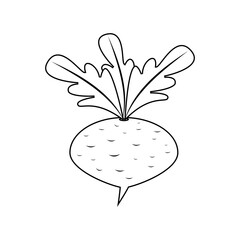 Turnip sketch clipart black and white. Linear and outline vector drawing. Isolated illustration on white background.