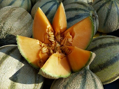 Charentais-Melonen mit einer aufgeschnittenen Melone mittig