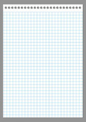 Grid paper. Abstract squared background with color graph. Geometric pattern for school, wallpaper, textures, notebook. Lined blank on transparent background