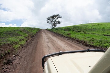 aventure en 4x4_Safari