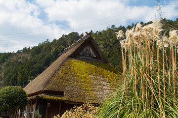 Fototapeta na wymiar An old house with a bunch of silver grass and a thatched roof in Kitamura, Miyama Kayabuki no Sato, Nantan City, Kyoto Prefecture, Japan
