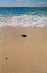 Sea stone in sand and wave on beach