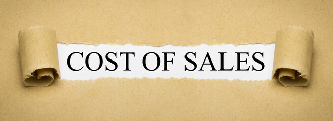 Cost of Sales