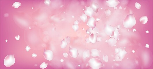 Cherry Sakura Petals Confetti. Windy Leaves Confetti Frame. Falling